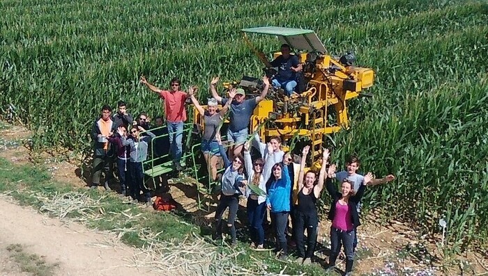 Production du maïs semences, Les Roulières de VIRSON, Virson