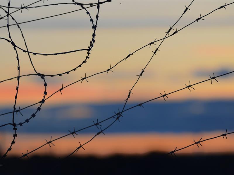 Projection du film In Memoriam 17 rue du Cimetière Militaire Niederbronn-les-Bains 2026-04-28