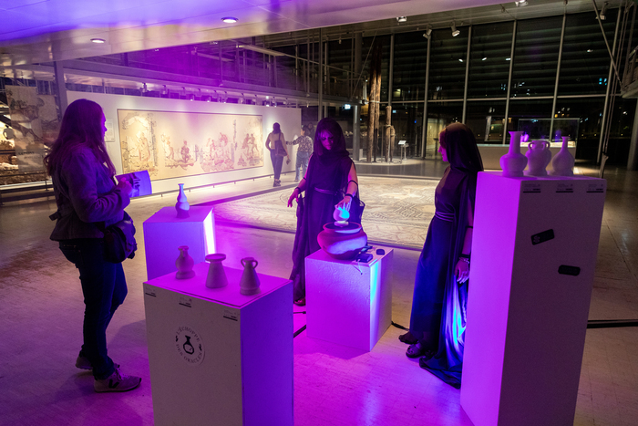 Projet X - Nuit de fête ! Musée et sites archéologiques de Saint-Romain-en-Gal Saint-Romain-en-Gal