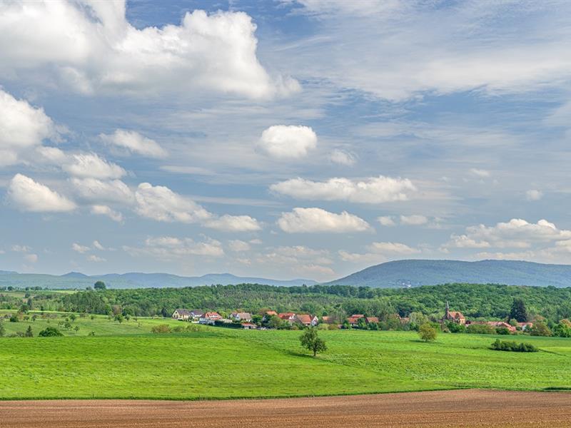 Promenade autour de Schirlenhof Gundershoffen Bas-Rhin