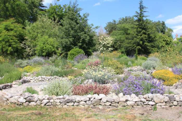 Promenade dans un jardin libre et foisonnant, Le Clos Saint-Lubin, Suèvres
