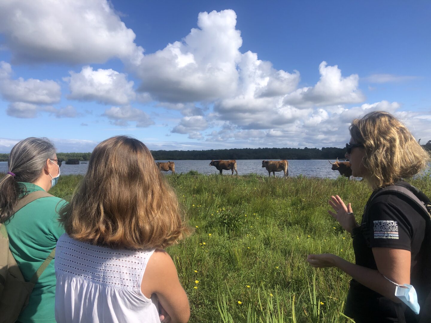 Promenade nature: Le tour du lac d&rsquo;Aureilhan  Aureilhan