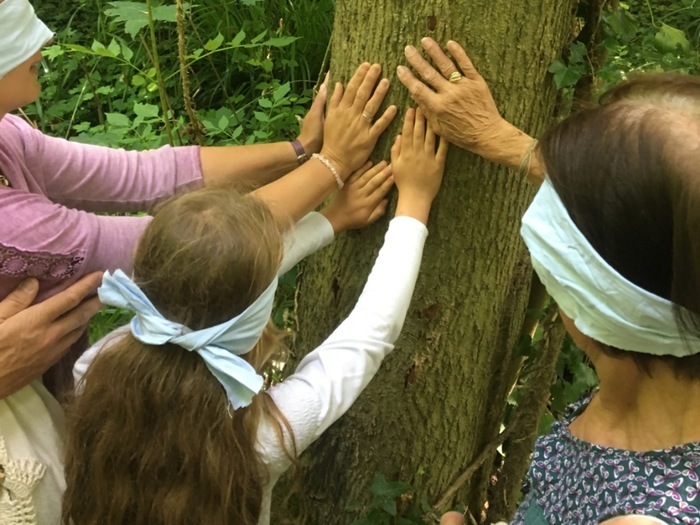 Promenade sensorielle au bois du Caprice, Lieu de rdv donné à la réservation, Saint-Aubin-d&rsquo;Arquenay