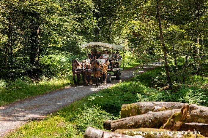 Promenons-nous dans les bois, au rythme des chevaux, Maison de la Forêt, Montfiquet