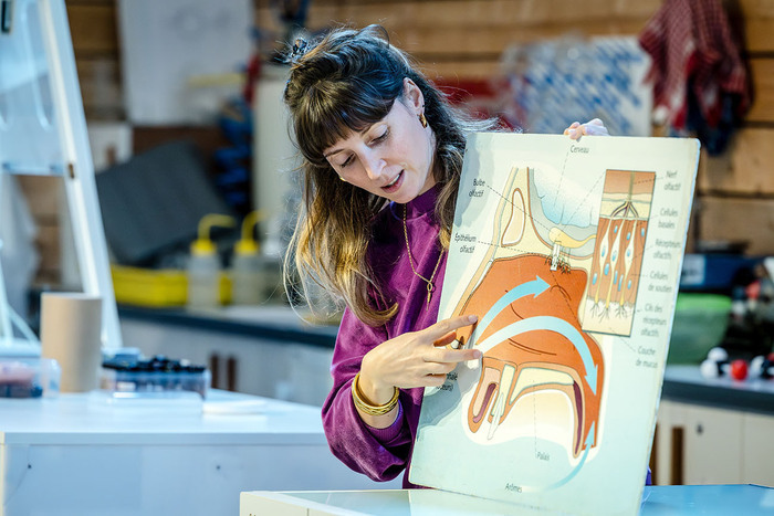 Quelques mystères de l&rsquo;olfaction, Étincelles du Palais de la découverte, Paris