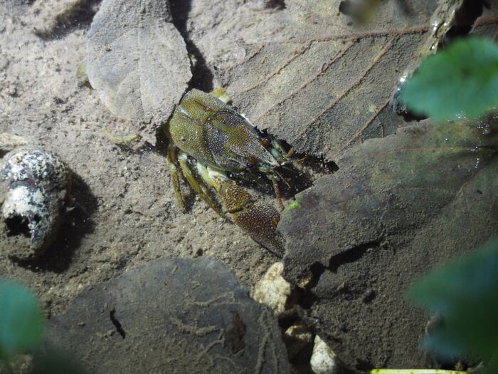 Rand&rsquo;eau nocturne, Parking de l&rsquo;église, Terres de Druance