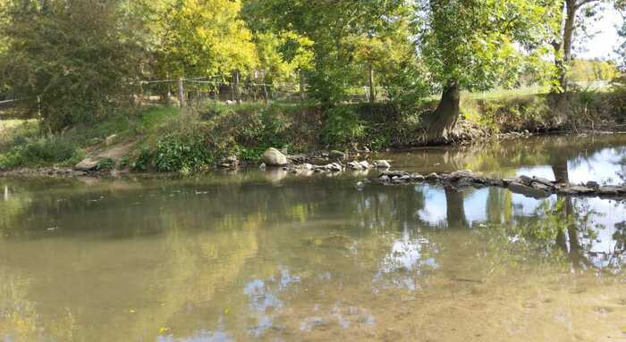 Rando 1/2 journée, Le Millepattes, Servon