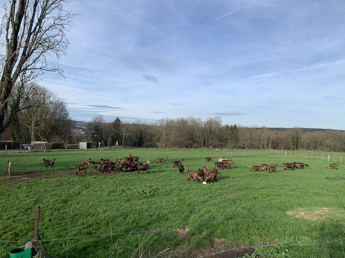 Rando 1/2 journée Le Millepattes Servon