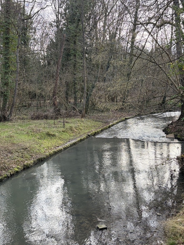 Rando 1/2 journée, Le Millepattes, Servon
