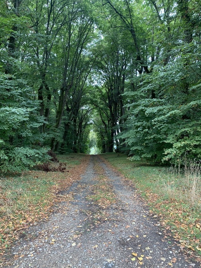 Rando douce, Le Millepattes, Servon