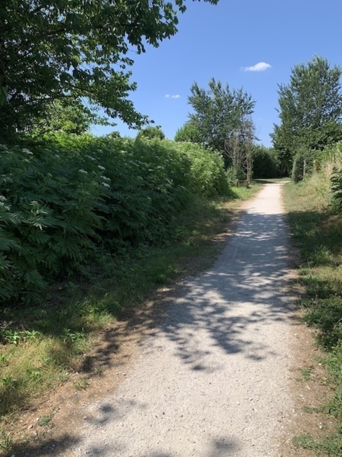 Rando douce, Le Millepattes, Servon