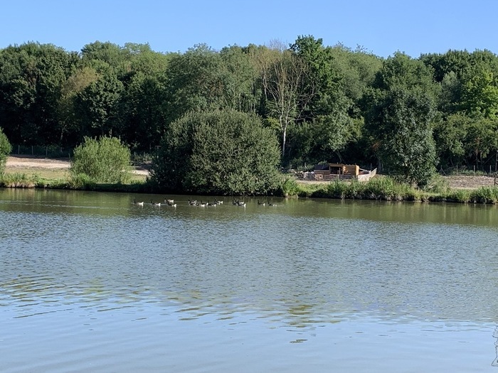 Rando douce, Le Millepattes, Servon