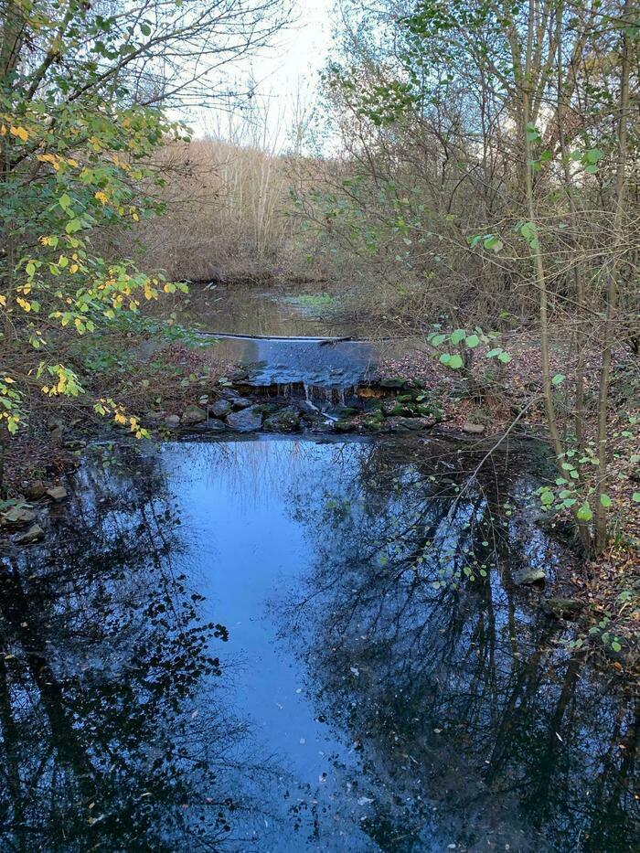 Rando journée, Le Millepattes, Servon