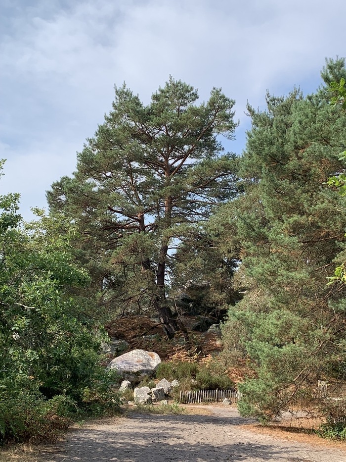 Rando journée Le Millepattes Servon