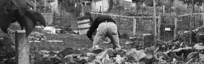 Rando-Paysage : exploration des paysages de la ville nourricière, CAUE de la Sarthe, Le Mans