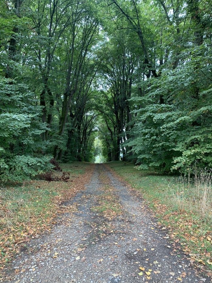 Rando Sportive, Le Millepattes, Servon