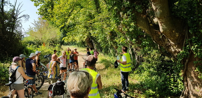 RANDO VELO ARRETE TON CHAR BEN HUR ! Les voies de communication à Graveson, Graveson, 13690, Graveson