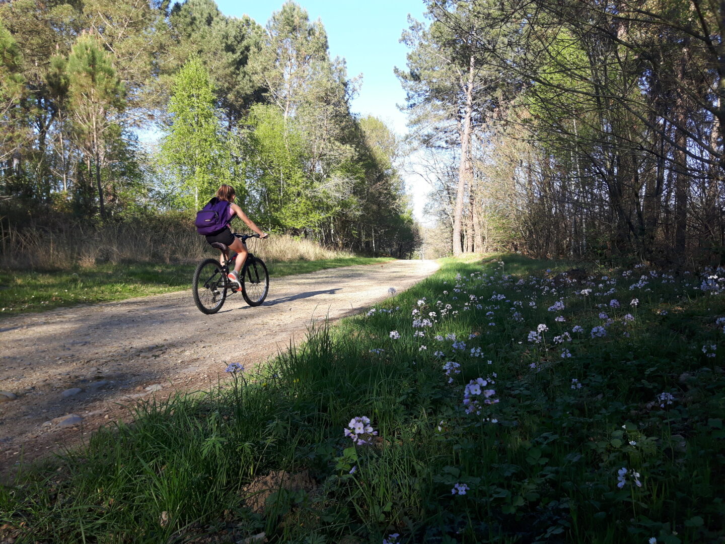 RANDO VELO DECOUVERTE Rue Romain Rolland Saint-Gaudens