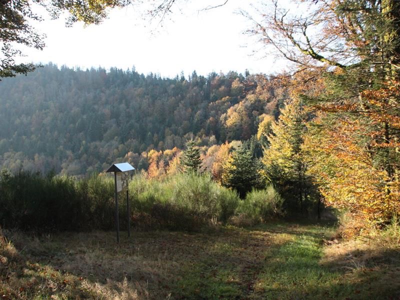 Randonnée Chemin de la résistance et de la liberté Urbeis Bas-Rhin