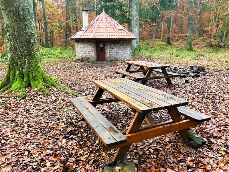 Randonnée Circuit de Romanswiller Romanswiller Bas-Rhin