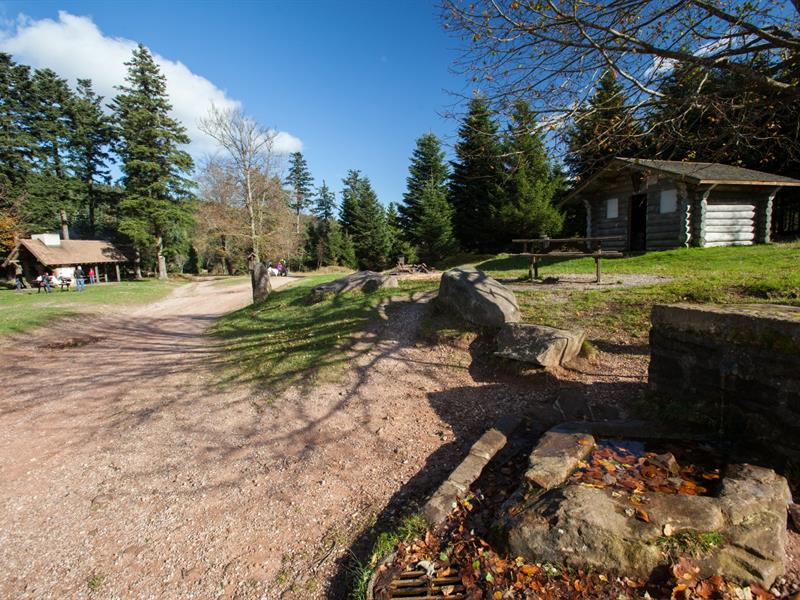 Randonnée Circuit des Rochers Wangenbourg-Engenthal Bas-Rhin