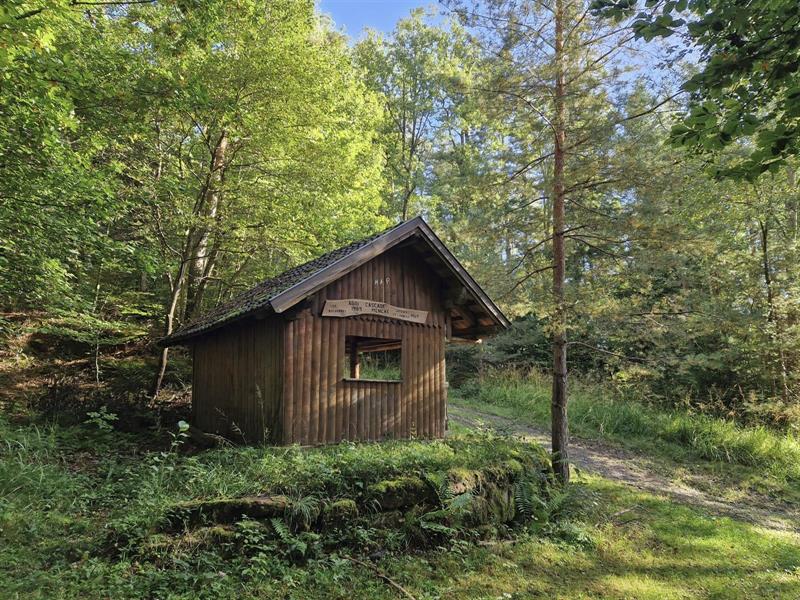 Randonnée Circuit Val de la Mossig Romanswiller Bas-Rhin