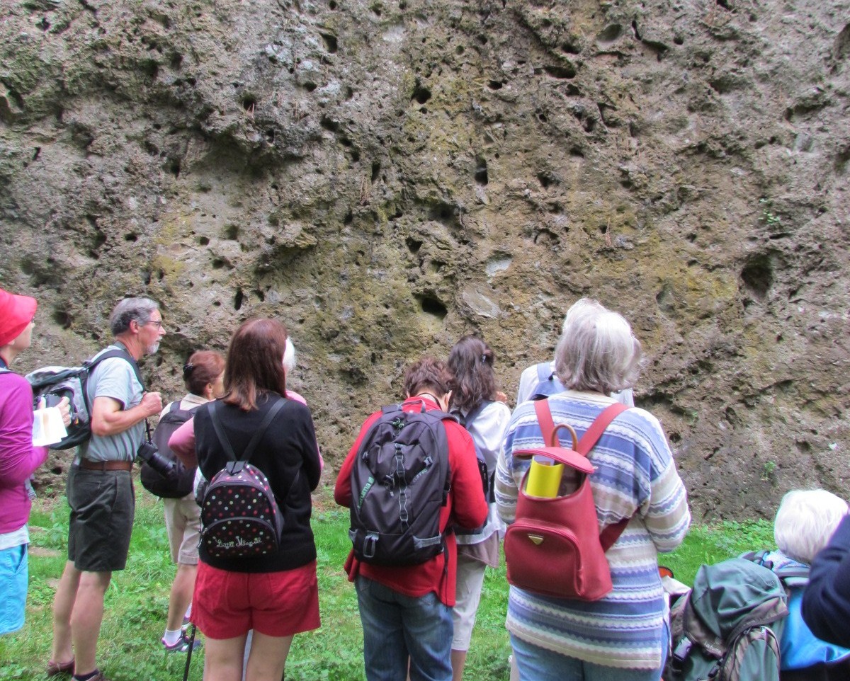 Randonnée commentée Maison de la Réserve Rochechouart