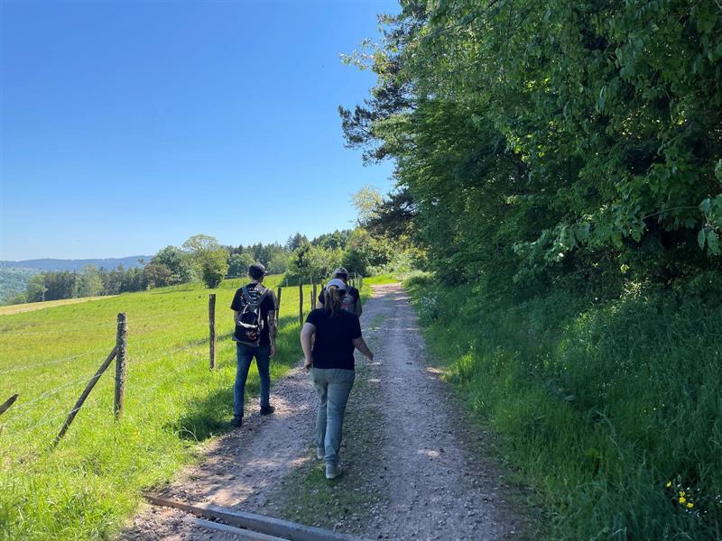 Randonnée De la Roselière à la chapelle Rennfeld Neuve-Église Bas-Rhin