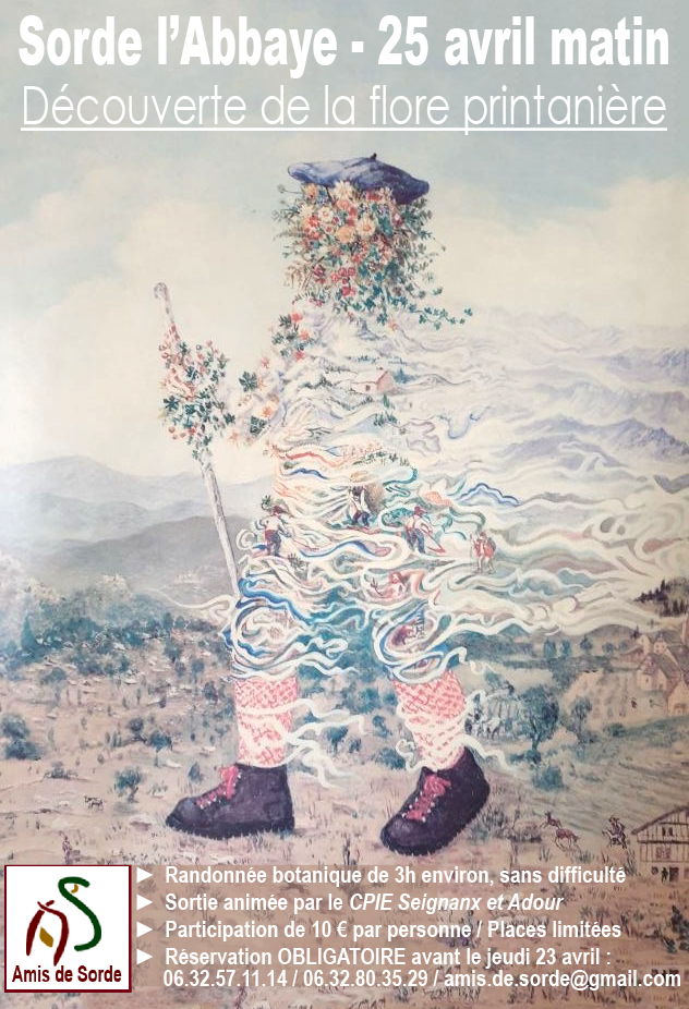 Randonnée Découverte de l flore printanière  Sorde-l&rsquo;Abbaye