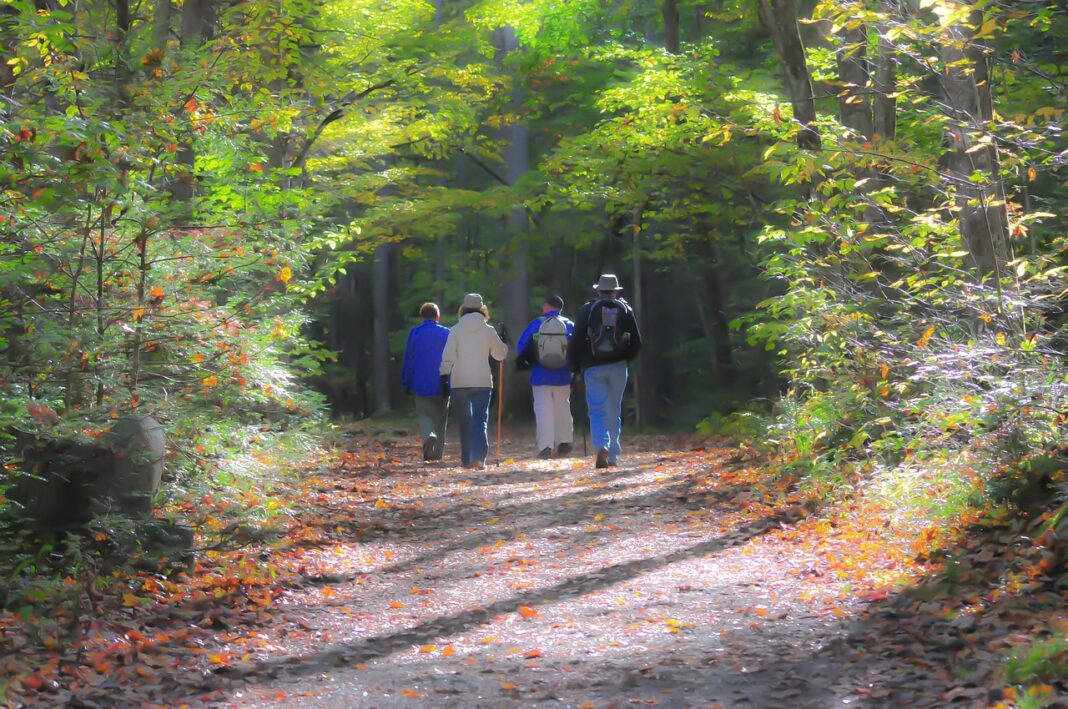 Randonnée découverte de la Réserve Naturelle Nationale d&rsquo;Arjuzanx  Morcenx-la-Nouvelle