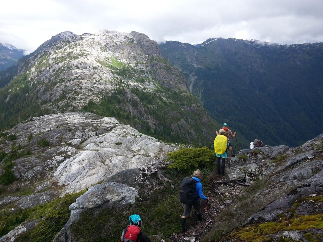 Randonnée découverte de la Réserve Naturelle Nationale d’Arjuzanx Morcenx-la-Nouvelle