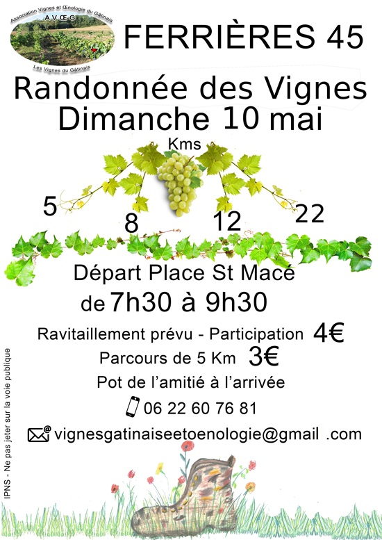 Randonnée des Vignes  Ferrières-en-Gâtinais