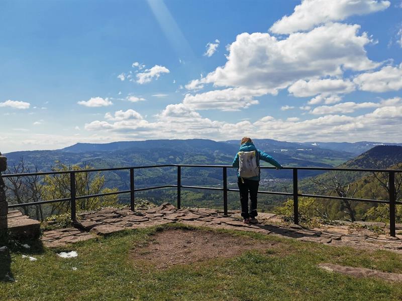 Randonnée Le château du Frankenbourg Neubois Bas-Rhin