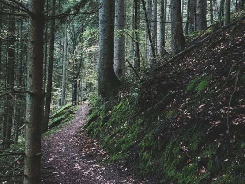 Randonnée Le col de Fouchy Fouchy Bas-Rhin
