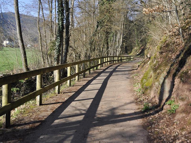 Randonnée Les alentours de Bassemberg Bassemberg Bas-Rhin