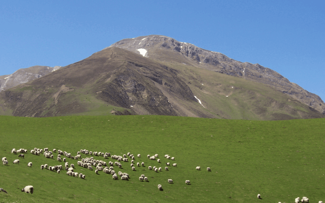 Randonnée Orhi, le toit du Pays basque D19 Larrau