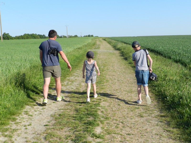 Randonnée pédestre à Houssay  Houssay