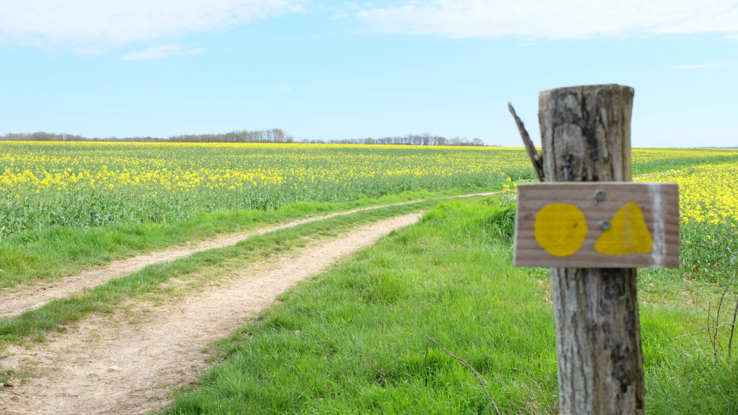 Randonnée pédestre des Hameaux à Lunay  Lunay