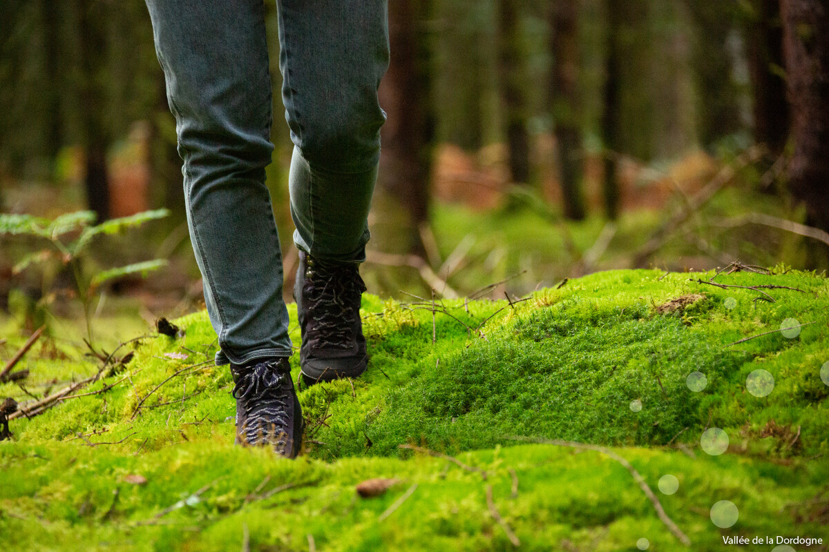 Randonnée pédestre Entre rives et coteaux  Argentat-sur-Dordogne