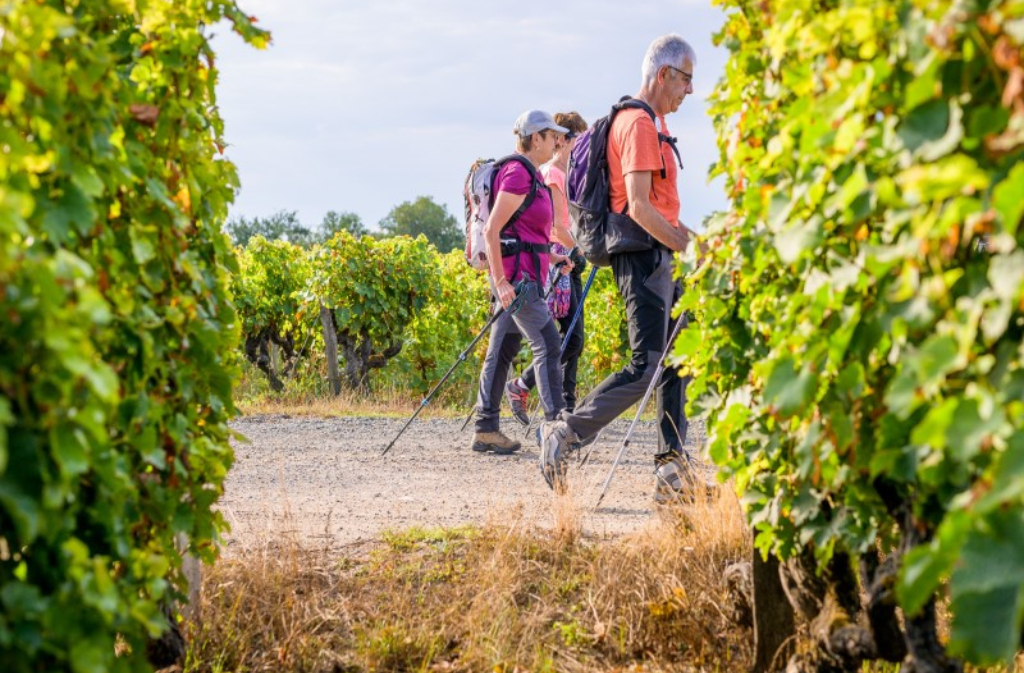 Randonnée pédestre et repas  Saint-Julien-Innocence-Eulalie