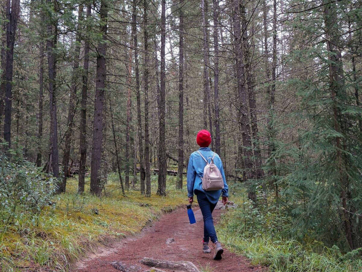 Randonnée pédestre 20 Rue du Clos Montmartin-sur-Mer 2026-10-26