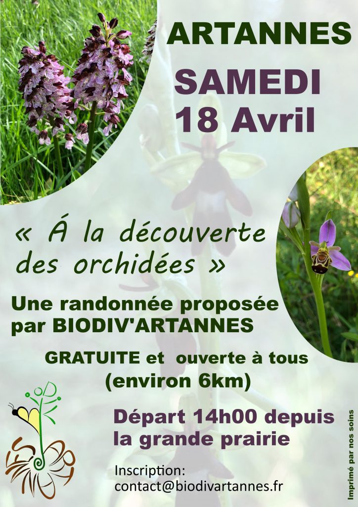 Randonnée proposée par BIODIV’Artannes, Samedi 18 avril avec un départ à 14 h de la prairie.  Artannes-sur-Indre