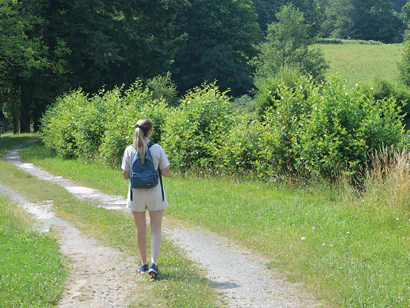 Randonnée solidaire Les Ribières Les Cars 2026-05-16
