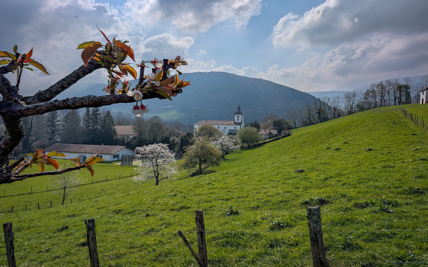 Randonnée sous les ailes du vautour fauve 409 karrika Itxassou 2026-07-22