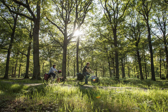 RANDONNEE VELO : LA BALADE POETIQUE A VELO à la journée ou au week-end ! Gare de Rambouillet Rambouillet