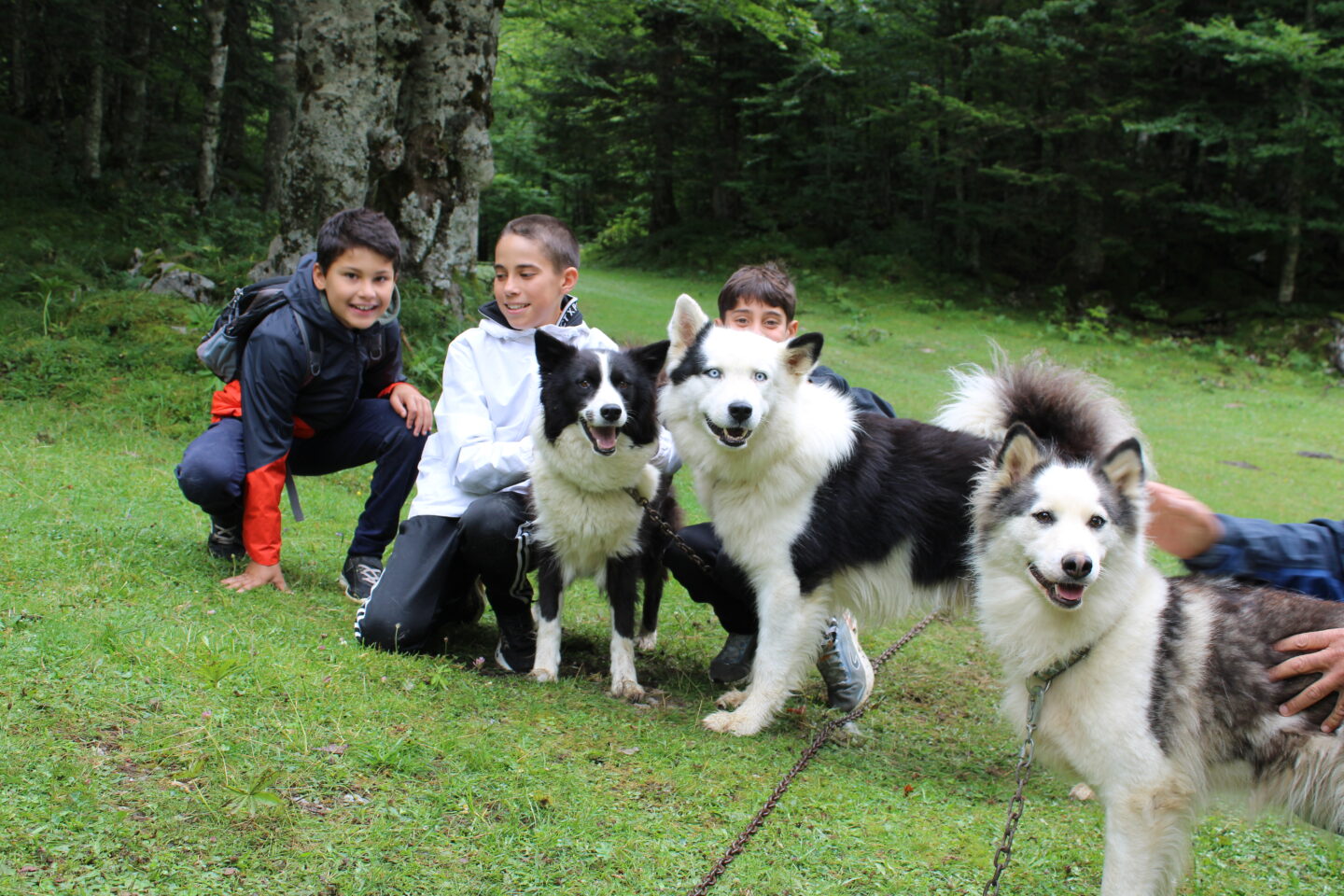 Randonner avec un chien nordique à Oloron Sainte-Marie 647 Route d'Arudy Oloron-Sainte-Marie 2026-05-23