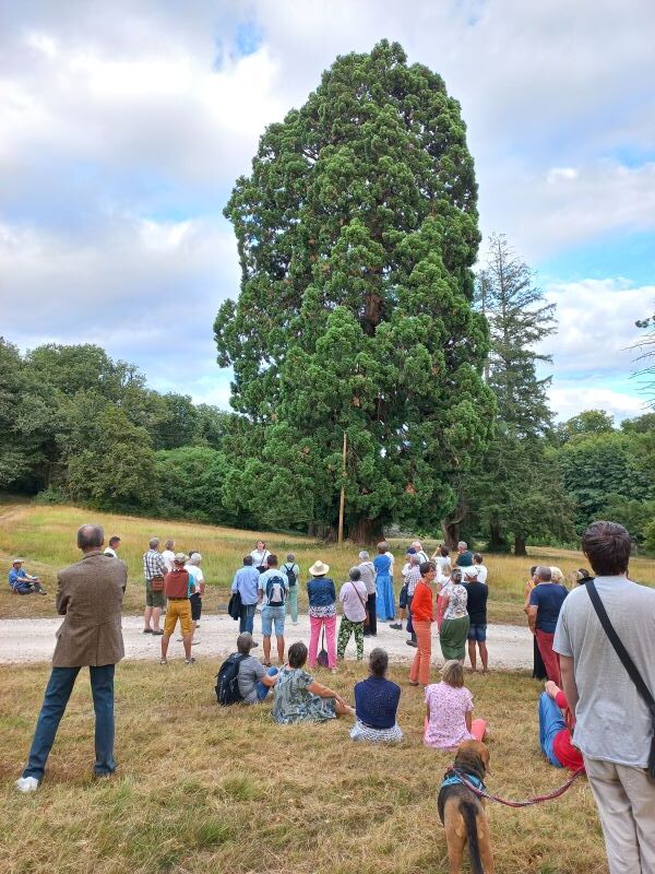 RDV Aux Jardins 2026 Visite éclair du parc du château du mortier à Monnaie 28 Avenue de Flavigny Monnaie 2026-06-07