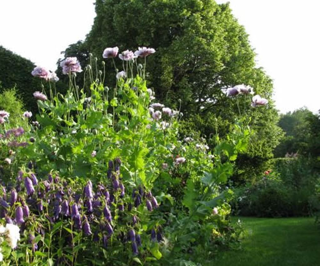 RDV aux Jardins Le Grand Etang Aulon 2026-06-05