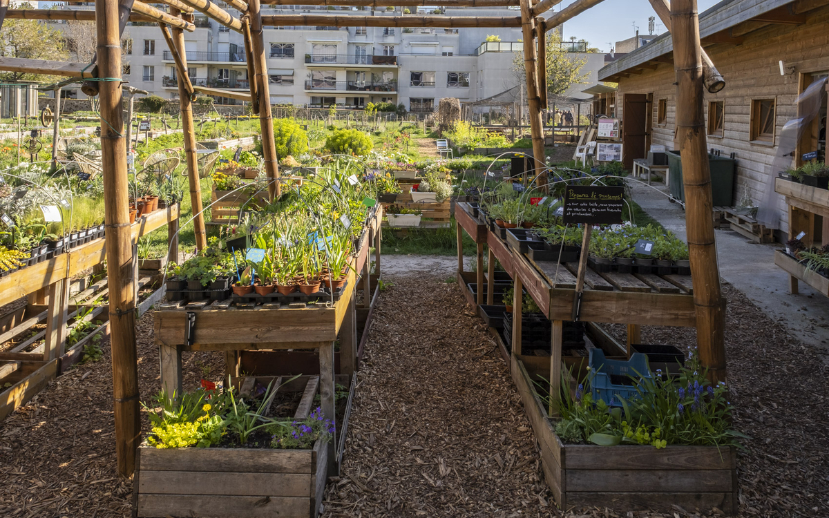 Réalisez votre tisane dans une ferme urbaine Ferme urbaine de Charonne Paris
