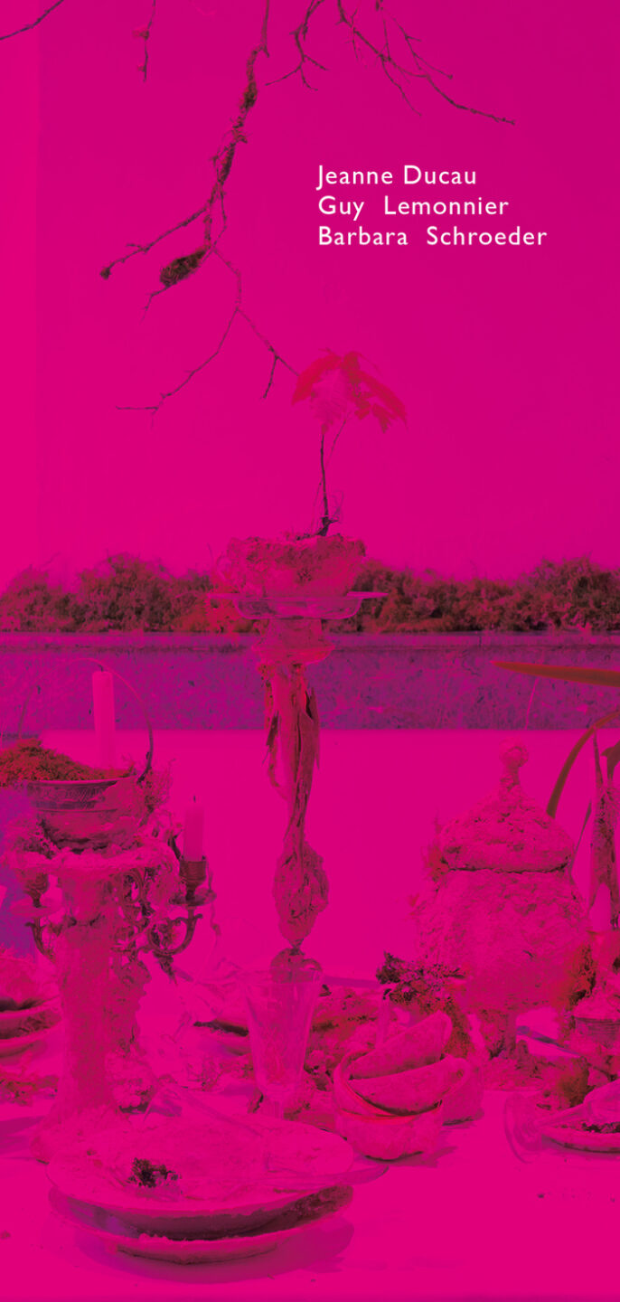 Récolement(s), LAVITRINE 2.0, Limoges